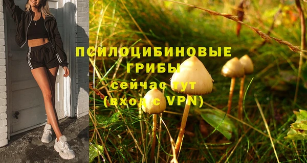 мяу мяу мука Бородино