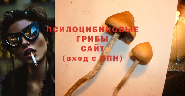 гашик Бронницы