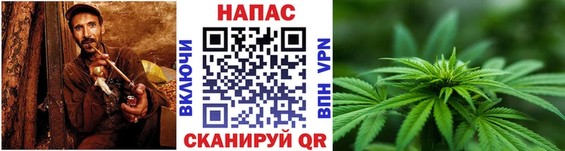 как найти   Петушки  Канабис план 